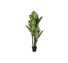 PLANTA PE 50X50X150 DIEFFENBACHIA VERDE