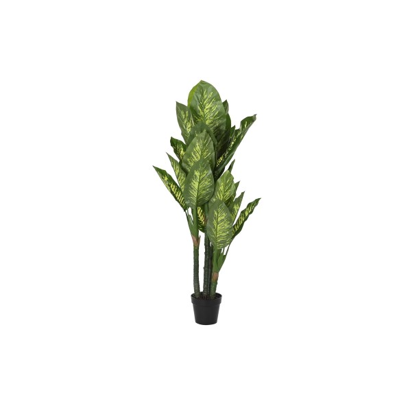 PLANTA PE 50X50X150 DIEFFENBACHIA VERDE