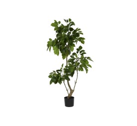 PLANTA PE CEMENTO 80X80X120 RADERMACHERA VERDE