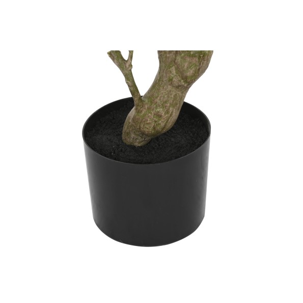 PLANTA PE CEMENTO 80X80X120 RADERMACHERA VERDE