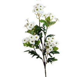 R.MARGARITA X5 CREMA 65cm (C1