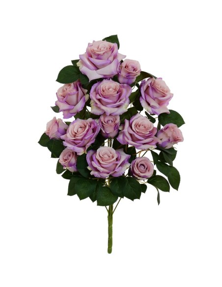 CONJUNTO ROSAS-CAP (A) X 13-51CM (VIO)