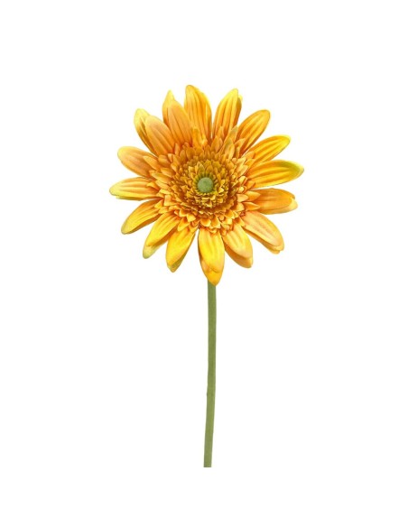 GERBERAX1 M.P.AMARILLA 54cm(8cm) (F660-6)