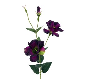 R.LISANTHUNX2 LILA 82cm(7cm) (F6
