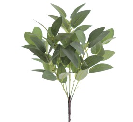 RAMO EUCALIPTUS X 7 (8569-09)