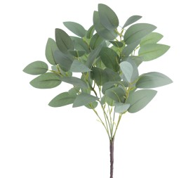 RAMO EUCALIPTUS X 7 (8569-69)