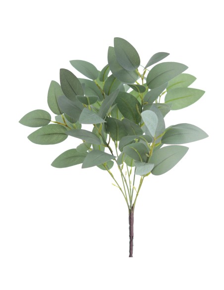 RAMO EUCALIPTUS X 7 (8569-69)