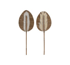 RAMA SEAGRASS CONCHAS 22X2X65 2 SURT.