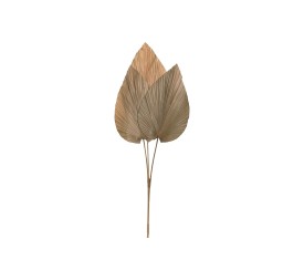 RAMA HOJA DE PALMERA 33X1X90 3 HOJAS NATURAL