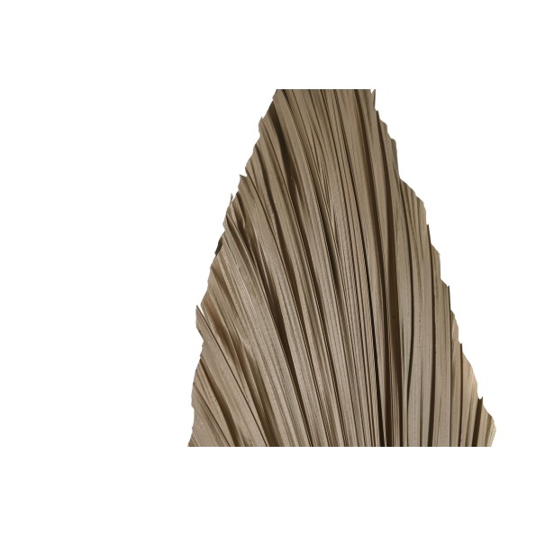 RAMA HOJA DE PALMERA 35X1X120 NATURAL