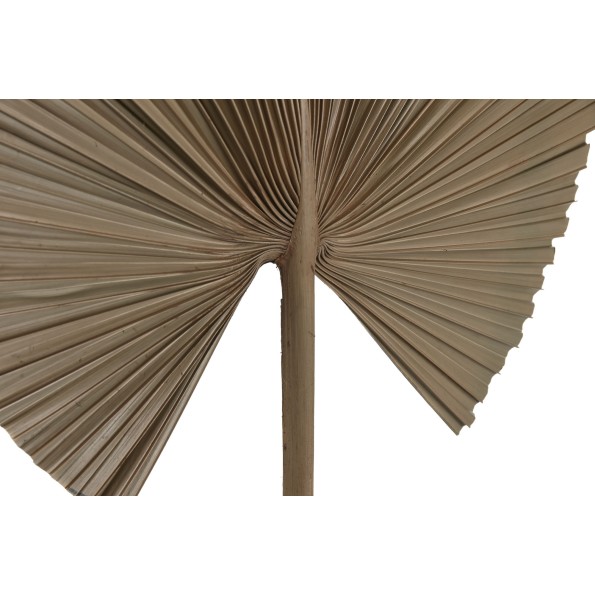 RAMA HOJA DE PALMERA 35X1X120 NATURAL