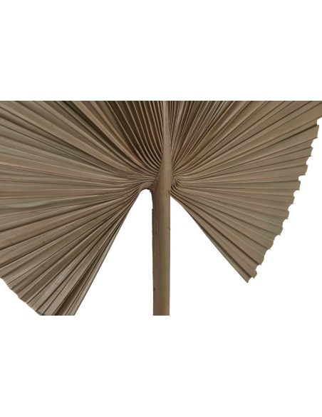 RAMA HOJA DE PALMERA 35X1X120 NATURAL