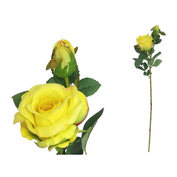 VARA ROSA X2 R/TOUCH 65 CM AMARILLO