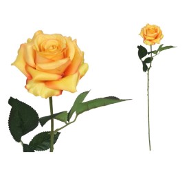 VARA ROSITA CLASIC - 64CM (TE)