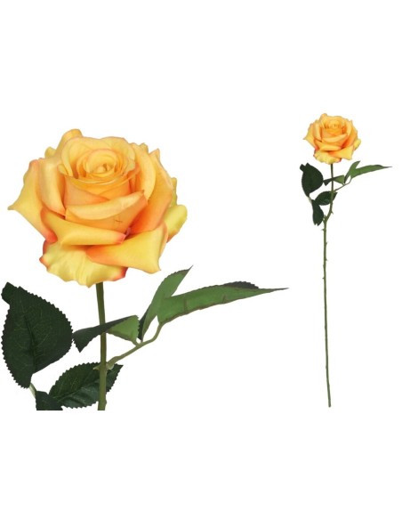 VARA ROSITA CLASIC - 64CM (TE)