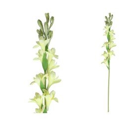 VARA NARDO -60CM (VERDE)