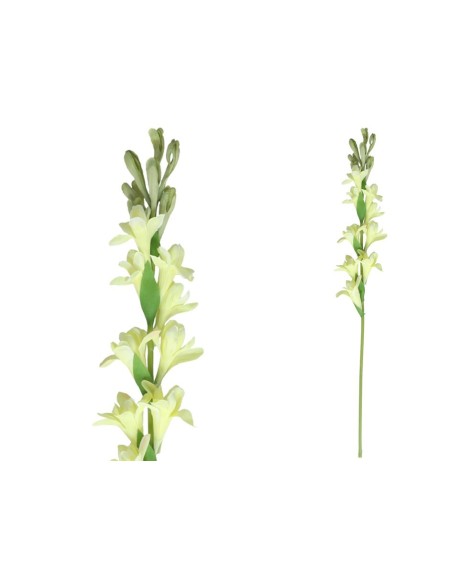 VARA NARDO -60CM (VERDE)