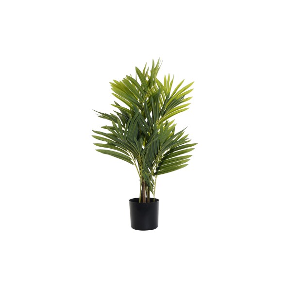 PLANTA PVC PP 40X50X70 PALMERA VERDE