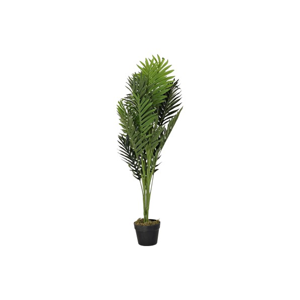 PLANTA PE 40X40X100 PALMERA VERDE