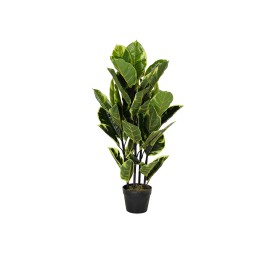 PLANTA PE 40X40X90 HEVEA VERDE