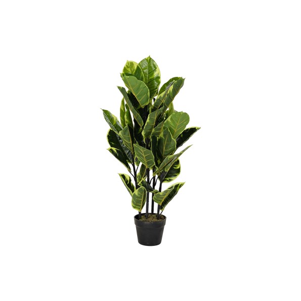 PLANTA PE 40X40X90 HEVEA VERDE