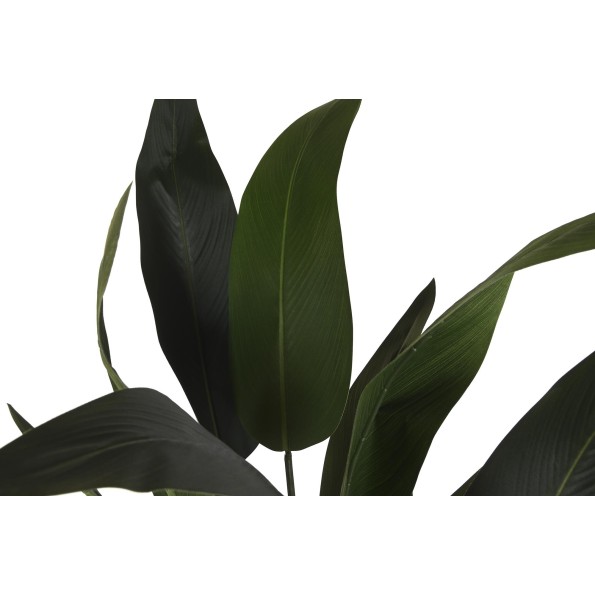 PLANTA POLIESTER PP 80X80X180 AVE DE PARAISO VERDE