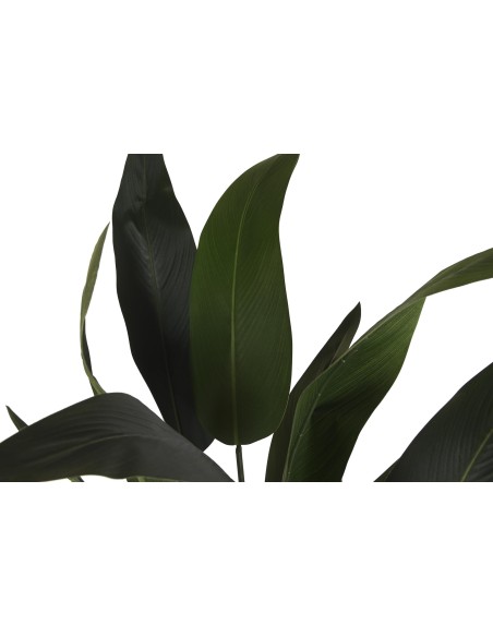 PLANTA POLIESTER PP 80X80X180 AVE DE PARAISO VERDE