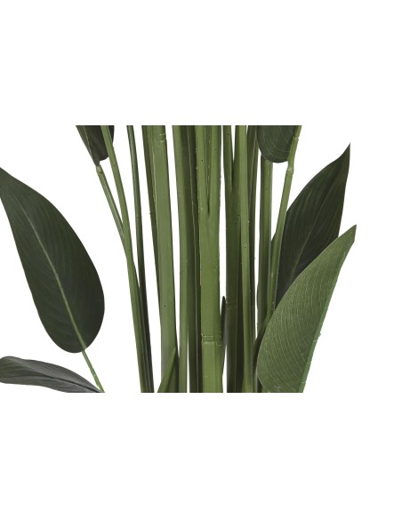 PLANTA POLIESTER PP 80X80X180 AVE DE PARAISO VERDE