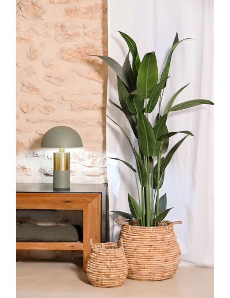 PLANTA POLIESTER PP 80X80X180 AVE DE PARAISO VERDE