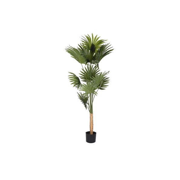 PLANTA POLIESTER PP 80X80X180 PALMERA VERDE