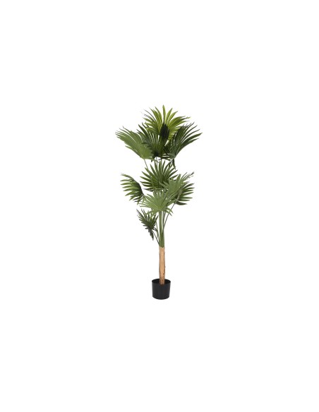 PLANTA POLIESTER PP 80X80X180 PALMERA VERDE