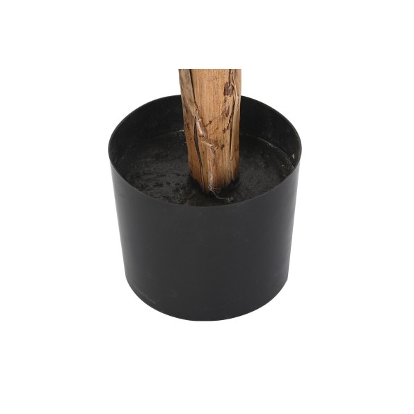 PLANTA POLIESTER PP 80X80X180 PALMERA VERDE