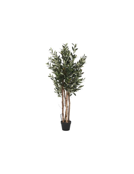 ARBOL PE PP 60X60X122 OLIVO VERDE
