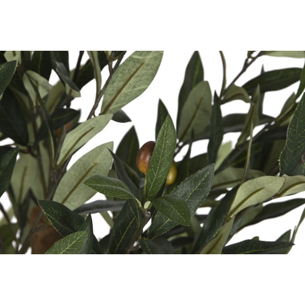 ARBOL PE PP 60X60X122 OLIVO VERDE