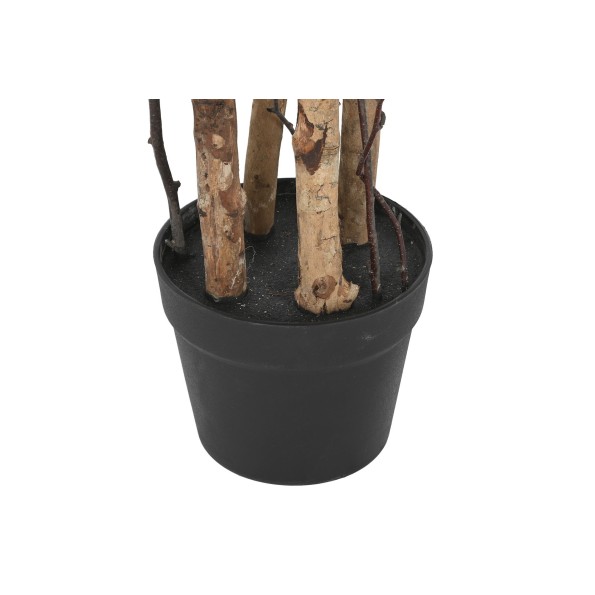 ARBOL PE PP 60X60X122 OLIVO VERDE