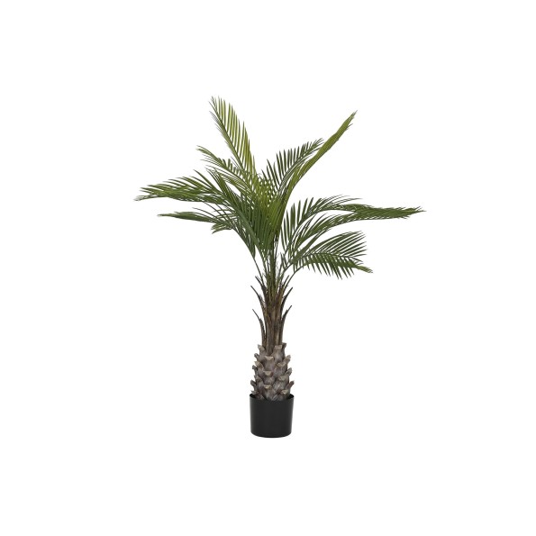 PLANTA PE PP 80X80X120 12 HOJAS PALMERA KWAI VERDE