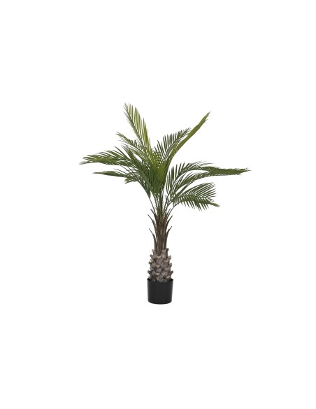PLANTA PE PP 80X80X120 12 HOJAS PALMERA KWAI VERDE