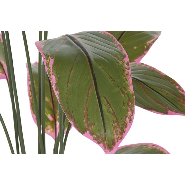 PLANTA PE PP 80X80X150 15 HOJAS VERDE