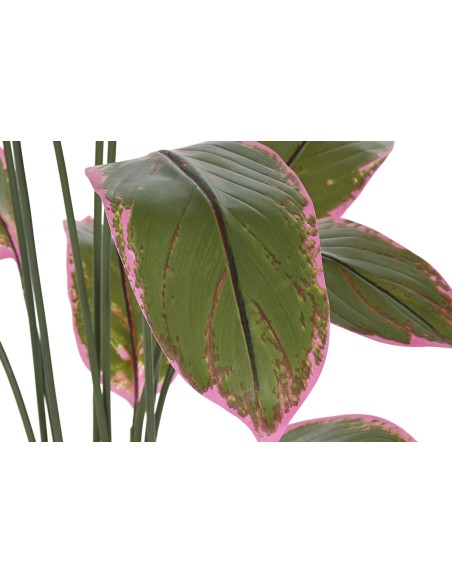 PLANTA PE PP 80X80X150 15 HOJAS VERDE