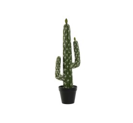 PLANTA FOAM PP 18X12,5X54 CACTUS VERDE