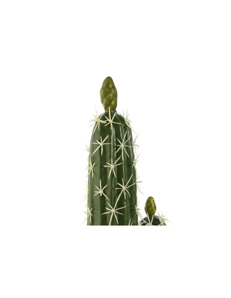 PLANTA FOAM PP 18X12,5X54 CACTUS VERDE