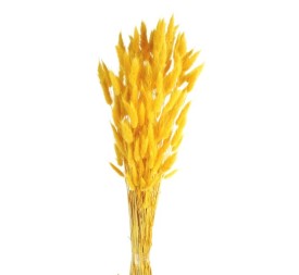 LAGURUS 60 cms. AMARILLO (12)