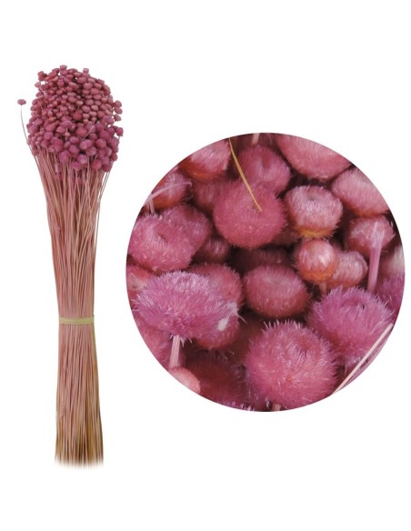 AMARELINHO 45 cms ROSA (42)