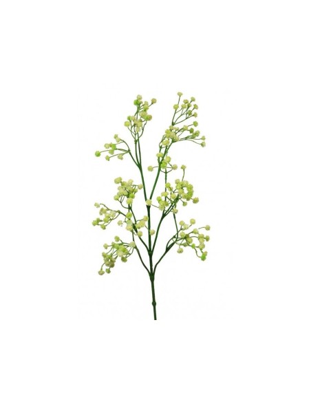 GYPSO PL.X162 67 CM VERDE (F688/2)