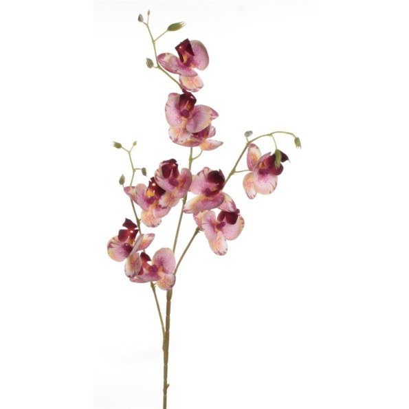 VARA ORQUIDEA X 10 TACTO ROSA