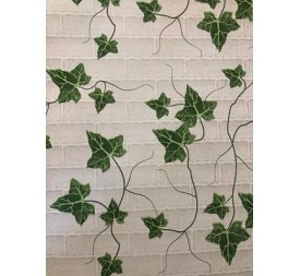 BOBINA 70X50 MURO RAMPICANTE