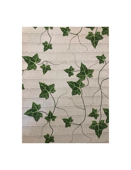 BOBINA 70X50 MURO RAMPICANTE