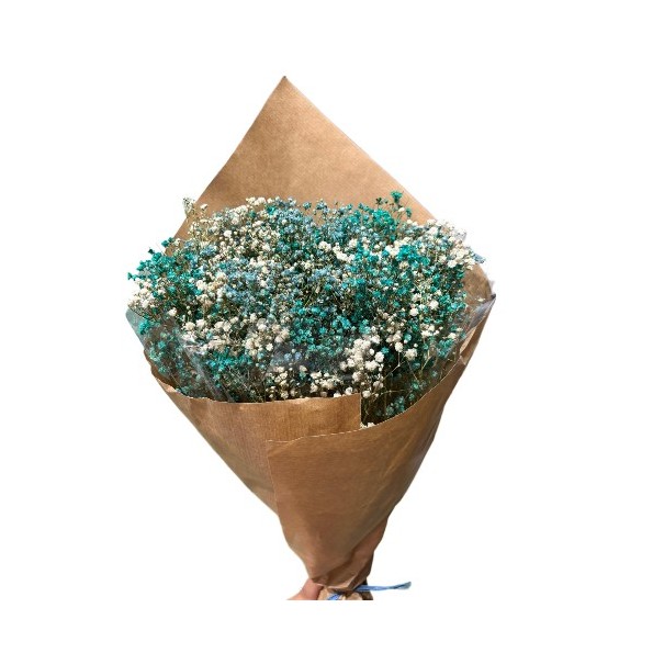 MAZO PANICULATA 25/30 cms. x 40/50 cms. (70) AZUL