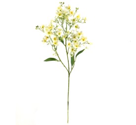 DAPHNE (4676-01)