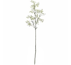 GYPSOPHILA (6100-01)